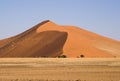 Desert sand dune Royalty Free Stock Photo