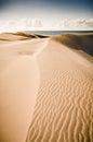 Desert sand dunes on a beach. beach texture. desert pattern. Dunes of Maspalomas, Gran Canaria, Canary Islands Royalty Free Stock Photo