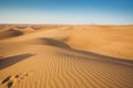 Desert sand and dunes with clear blue sky. Royalty Free Stock Photo