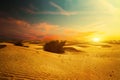 Desert sand dunes road at sunset Royalty Free Stock Photo