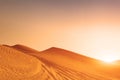 Desert sand dunes road at sunset Royalty Free Stock Photo