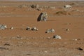 Desert sand in the heart of Saudi Arabia, rocks are also seen