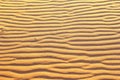 Desert sand lines stripes abstract backgrounds textures Royalty Free Stock Photo