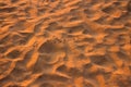 Desert sand pattern texture Royalty Free Stock Photo