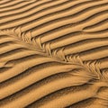 Desert sand with a prominent feather like formation cutting across the Royalty Free Stock Photo