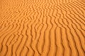 Desert sand textured patterns caused by wind Royalty Free Stock Photo