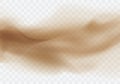 Desert sandstorm, brown dusty cloud on transparent Royalty Free Stock Photo