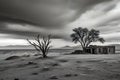 Desert Shadows: Spooky Black and White Landscape Royalty Free Stock Photo