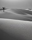Desert shapes in black and white Royalty Free Stock Photo