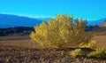 Badwater Basin salt flat in Death Valley National Park Park, USA Royalty Free Stock Photo