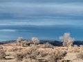 The desert sky