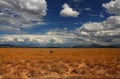 Desert Skys Royalty Free Stock Photo