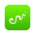 Desert snake icon green vector