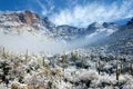 Desert snowfall Royalty Free Stock Photo