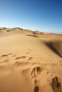 Desert of Sossusvlei in Namibia