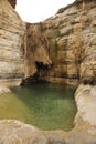 Desert spring in Negev. Royalty Free Stock Photo