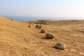 Desert Stones at Paracas National Reserve Royalty Free Stock Photo