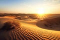 desert with the sun setting behind the dunes, casting a warm and golden glow Royalty Free Stock Photo