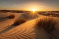 desert with the sun setting behind the dunes, casting a warm and golden glow Royalty Free Stock Photo