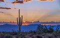 Desert Sunrise With Cactus in Foreground Royalty Free Stock Photo