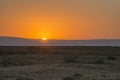 Desert sunrise Royalty Free Stock Photo