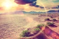 Desert sunrise.Desert travel adventures background Royalty Free Stock Photo