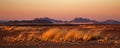 Desert at sunrise near Sossusvlei Royalty Free Stock Photo