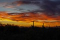 Colorful desert sunset in Arizona