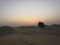 Desert sunset dubai sand dunes