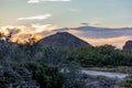 Desert sunset landscape with juniper trees, steppes, scrubland and wild plants