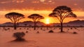 Desert sunset in Namibia, Africa