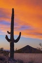 Desert Sunset Sky With Lone Saguaro Cactus Royalty Free Stock Photo