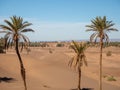 Desert town of Mhamid, Morocco village with nature sand dunes and old muslim mosque in north Africa, old narrow streets,