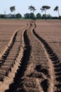 Desert tracks Royalty Free Stock Photo