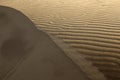 Desert with tracks in the sand