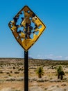 A desert traffic sign along a rural road riddled with bullet holes