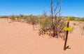 Desert trail and direction arrow sign Royalty Free Stock Photo