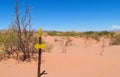 Desert trail and direction arrow sign Royalty Free Stock Photo