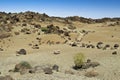 Desert trail,landscape at tenerife