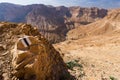 Desert trail marking.