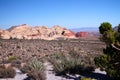 The desert trees and the shades of red boulders in the Red Rock Canyon Royalty Free Stock Photo