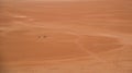 Desert, Vadiram, horizon, mountains, sand, red sand, Jordan, Mars on earth, adventure