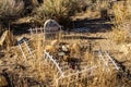 Desert valley pet cemetery grave markers