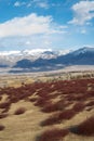 Desert Valley Sand  With Red Plants, Hills, Snowy Mountain Range