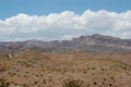 Desert vegetation Royalty Free Stock Photo