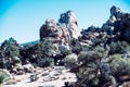 Rock formation in Joshua Tree National Park Royalty Free Stock Photo