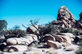 Rock formation in Joshua Tree National Park Royalty Free Stock Photo