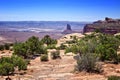 Desert at Candlestick Tower Overlook, Canyonlands National Park, Utah, USA Royalty Free Stock Photo