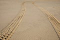 desert view car tyre Tracks On Sand beach coast Royalty Free Stock Photo
