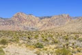 Desert view from Highway 160, Nevada, USA Royalty Free Stock Photo